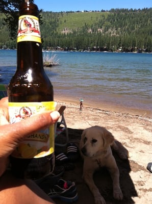 Donner Memorial State Park by null