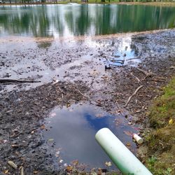 Longwood Park - Lots of trash surrounding & in the pond
