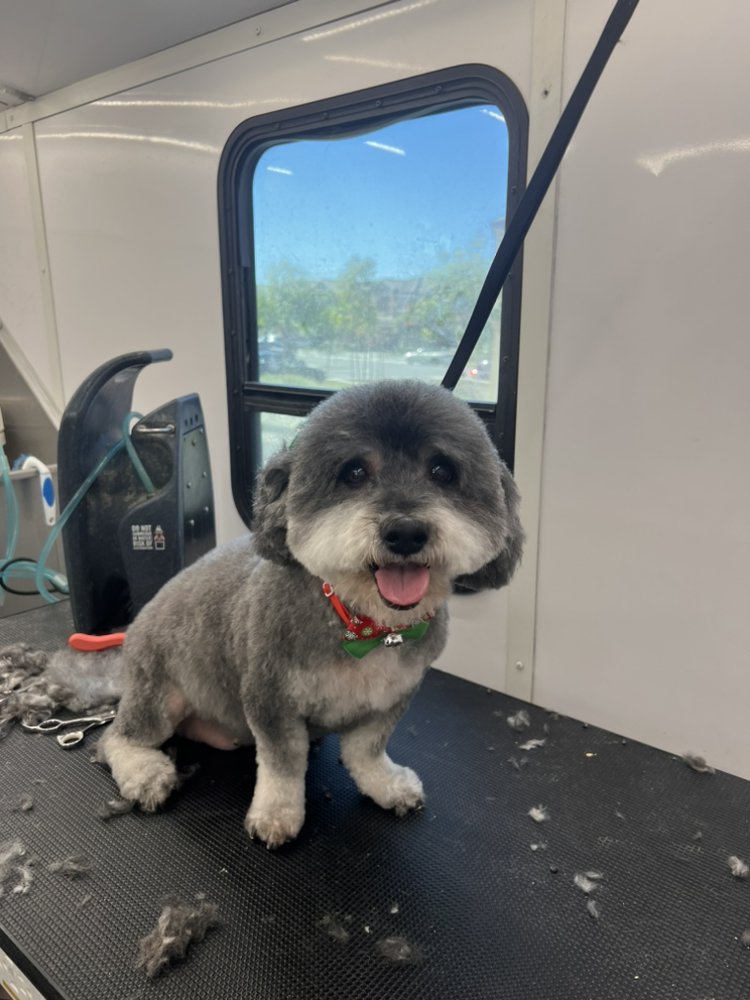 FRESH PUP MOBILE SPA AND SALON 11 Photos Chula Vista , California