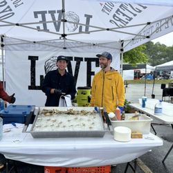 Love Point Oysters - Love Point Oysters
