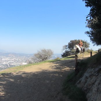 Mount Hollywood - Hiking Near Me - Los Angeles, California Mount Hollywood - Hiking Near Me - Los Angeles, California