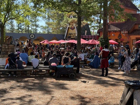 Texas Renaissance Festival by null