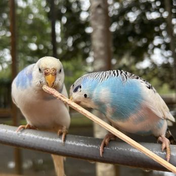 York Wild Kingdom - Amusement Parks Near Me - York, Maine