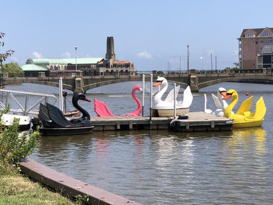 Asbury Park Pedal Boats by null
