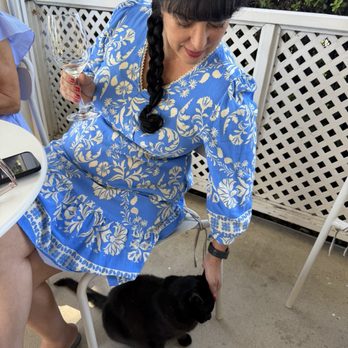 Peachy Canyon Winery - Who else needs their cat full while wine tasting? Slim Shady earning his keep. - Wineries Near Me - Templeton, California Peachy Canyon Winery - Who else needs their cat full while wine tasting? Slim Shady earning his keep. - Wineries Near Me - Templeton, California