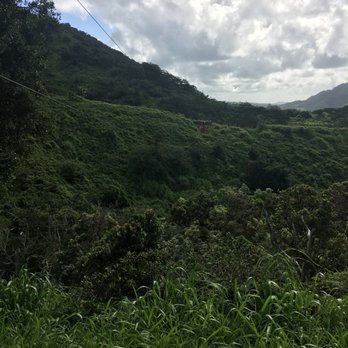 Shaka Zipline - Ziplining Near Me - Koloa, Hawaii Shaka Zipline - Ziplining Near Me - Koloa, Hawaii