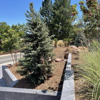 Martinez Landscape - Landscaping Near Me