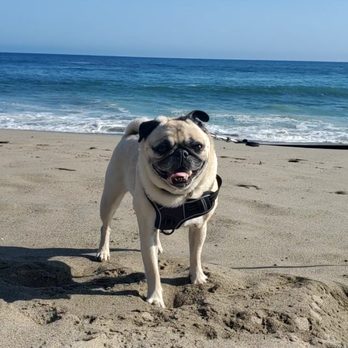 Leo Carrillo State Park - Parks Near Me - Malibu, California