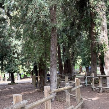 Carbon Canyon Regional Park - Parks Near Me - Brea, California