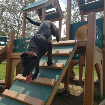 Rohr Dog Park - Dog Parks Near Me - Bonita, California Rohr Dog Park - Dog Parks Near Me - Bonita, California