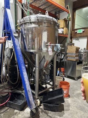 Settle Down Brewery & Taproom by null