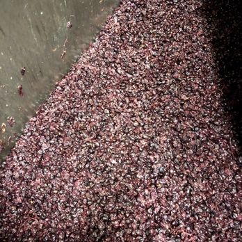 Taylor Tasting Tours - Wine Tours Near Me - Seattle, Washington Taylor Tasting Tours - Wine Tours Near Me - Seattle, Washington