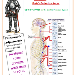 Speigle Chiropractic