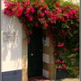 Photo of L'Orée du cap B&B