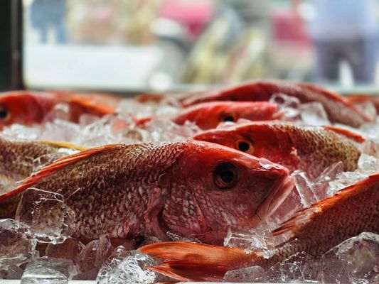 Fifi's on the Beach Seafood Restaurant by null