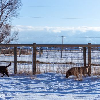 Summit Pet Resort - Pet Boarding Near Me - Belgrade, Montana