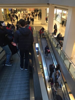 Shopping Mall Porta di Roma by null