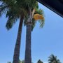 All Tree Care