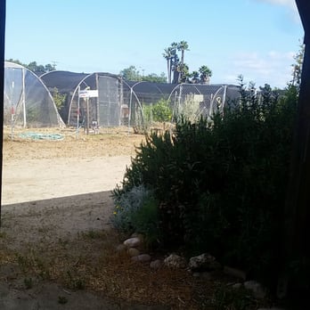 Wild Willow Farm - Specialty Schools Near Me - San Diego, California Wild Willow Farm - Specialty Schools Near Me - San Diego, California