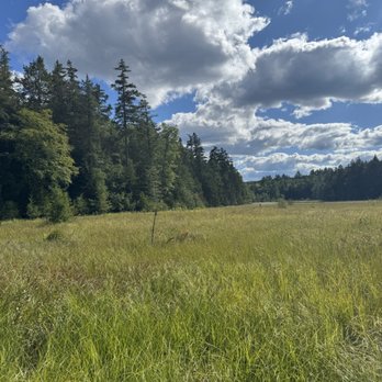 Mountain Top Arboretum - Hidden Marsh - Hiking Near Me - Tannersville, New York