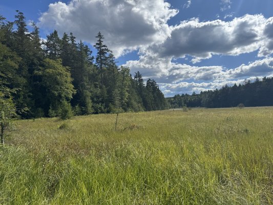 Mountain Top Arboretum by null