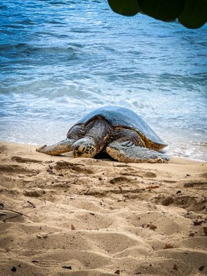 St Luke's Clinic - Ala Moana, 2250 Kalakaua Ave, Honolulu, HI