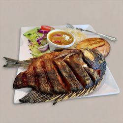 Ocean Seafood - Tilapia