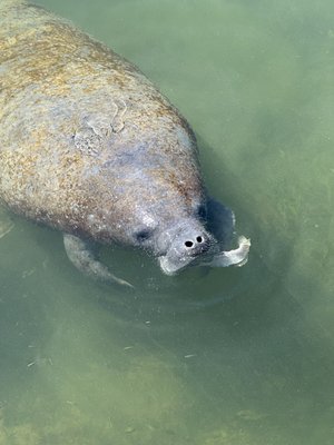 Bamboo Charters by null
