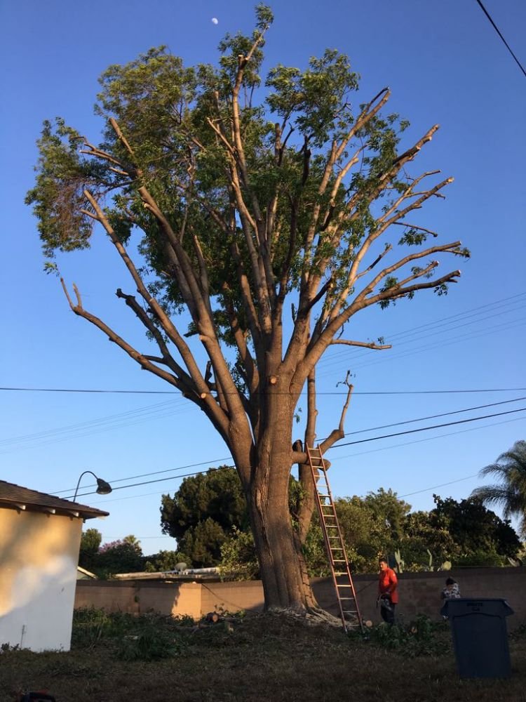 Slide of Alex's Hauling & Demo