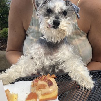 Babe's Doughnuts - Maple bacon doughnut #AvaChanel it's her favorite - Donuts Near Me - Tuscaloosa, Alabama Babe's Doughnuts - Maple bacon doughnut #AvaChanel it's her favorite - Donuts Near Me - Tuscaloosa, Alabama