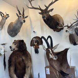 Steve's Meat Market - Wall art
