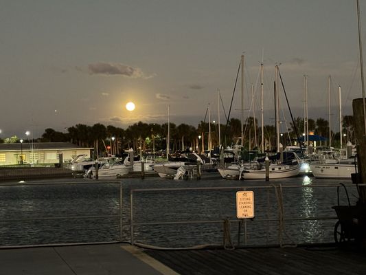 Mama Foo Foo by null