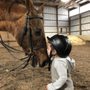 Photo of Rocking Horse Farm