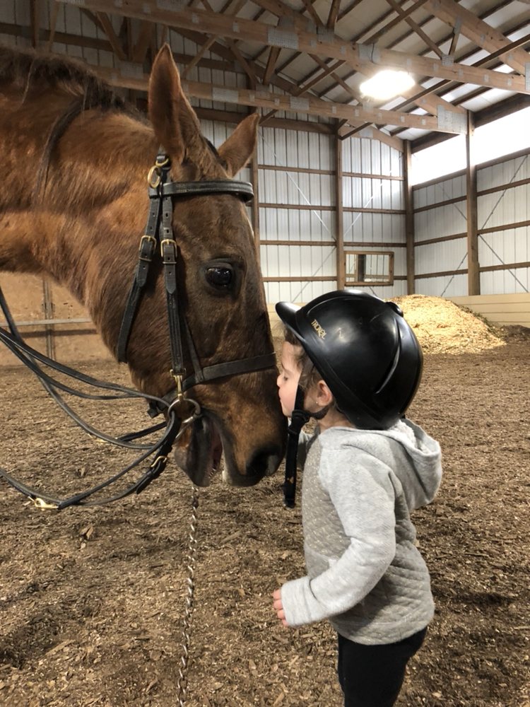 ROCKING HORSE FARM Updated October 2024 16 Photos 99 Palmer Rd