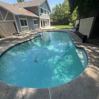 Bay Area Pool Experts - GREEN TO CLEAN. We offer green to clean services. This pool was ready to swim in just 48 hrs. We are not afraid of swamps. - Pool & Hot Tub Service Near Me
