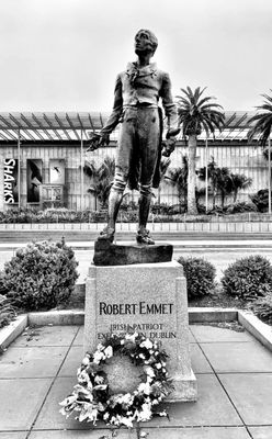 Golden Gate Park by null
