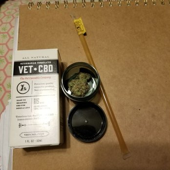 Cannabal City Collective - Got this for $45. Oil, nugget and a honey stick - Cannabis Clinics Near Me - Los Angeles, California Cannabal City Collective - Got this for $45. Oil, nugget and a honey stick - Cannabis Clinics Near Me - Los Angeles, California