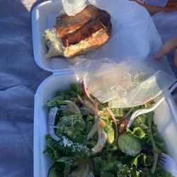 Chicken Alfredo Sub and Garden Salad