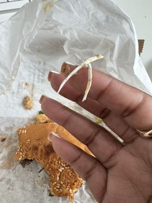 envegan Camp Creek by null