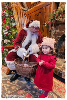 SkyPark at Santa's Village by null
