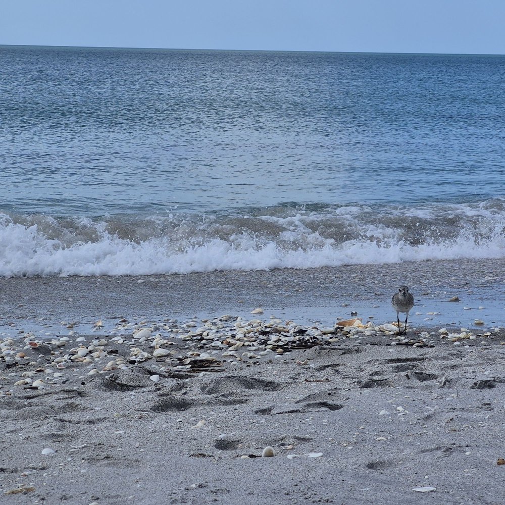 Stump Pass Beach and Park