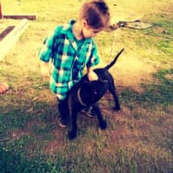 Savvy Sister Board & Walk - My son with Delilahs son - Dog Walkers Near Me Savvy Sister Board & Walk - My son with Delilahs son - Dog Walkers Near Me