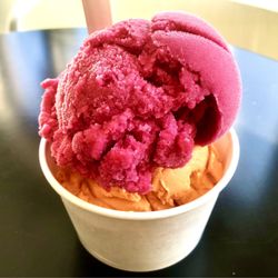 Crumbled - Raspberry + Mango  Sorbet From Kawartha