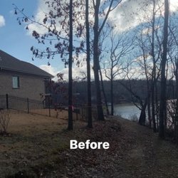 Affordable Tree Service