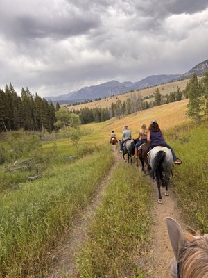 Jake's Horses Inc. by null