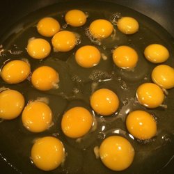 Amazing eggs!