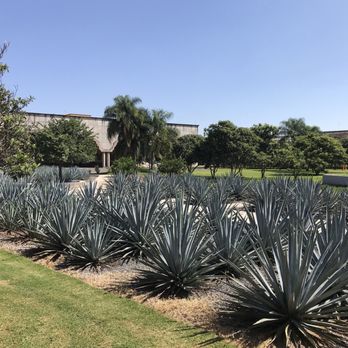 Casa Herradura - Tours Near Me - Amatitan, JAL