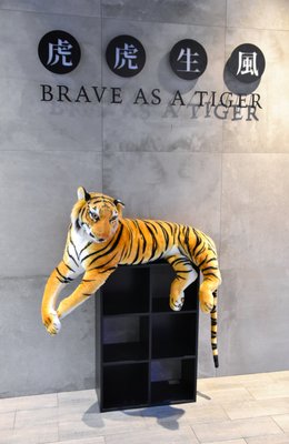 TIGER SUGAR by null