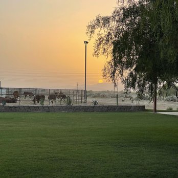KOLI Equestrian Center - Venues & Event Spaces Near Me - Phoenix, Arizona