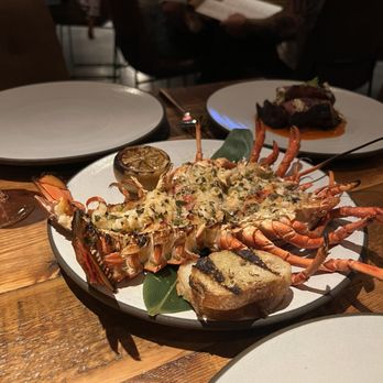 Prime 131 - Whole lobster. - Steakhouses Near Me - Houston, Texas Prime 131 - Whole lobster. - Steakhouses Near Me - Houston, Texas